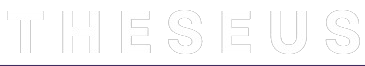 theseus-cn.ru